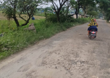 Warga Ingin Segera Ada Perbaikan di Jalan Raya Bojong-Ligarmukti