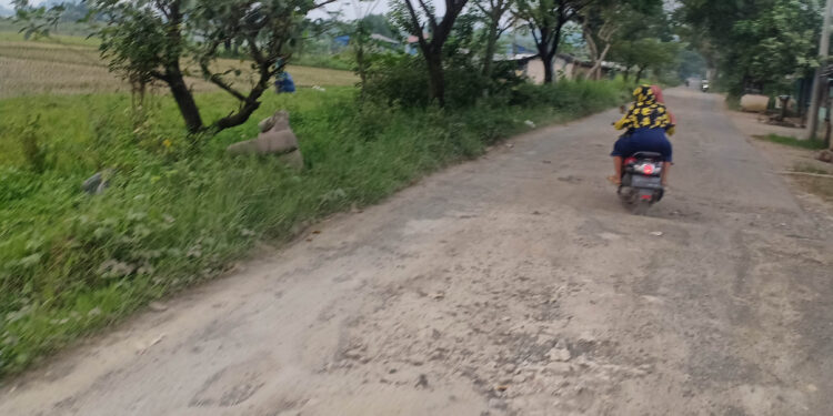 Warga Ingin Segera Ada Perbaikan di Jalan Raya Bojong-Ligarmukti