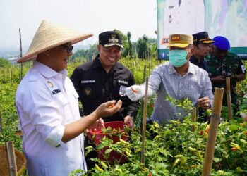 Kawasan Wisata Babakan Madang Bakal Diperbaiki