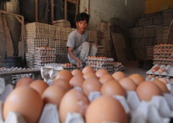 Sembako Stabil, Tapi Harga Telur dan Daging Melonjak