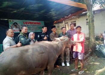 Peternakan jadi Primadona Ketahanan Pangan Desa Cigudeg