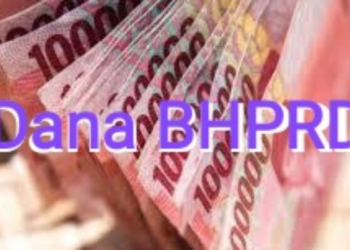 Dana BHPRD tak Kunjung Cair Bikin Pening Kepala Desa