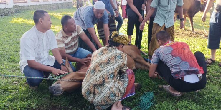 Momentum Idul Adha, Danyon Yonif Raider 301/PKS Ajak Pertebal Keimanan