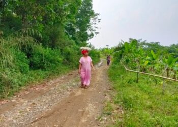 Sudah Belasan Tahun Jalan Citumbuk – Parigi Dibiarkan Rusak