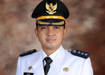 Semua Pihak Harus Turun Tangan, Sampah dan Penataan Fly Over Cileungsi Jadi Masalah Pelik