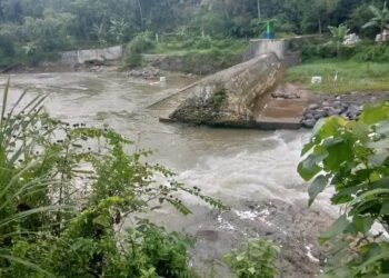 Bendungan Dibiarkan Jebol, Puluhan Hektare Sawah tak Bisa Ditanami Padi