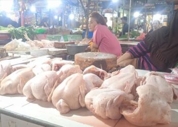 Terus Alami Kenaikan, Harga Daging Ayam Makin Mahal