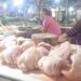 Terus Alami Kenaikan, Harga Daging Ayam Makin Mahal