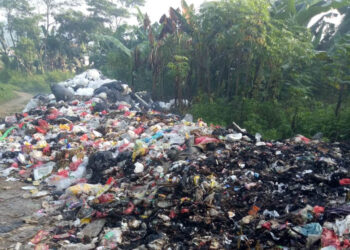Dikelola Orang Berpengaruh, TPS Ilegal Sulit Ditertibkan
