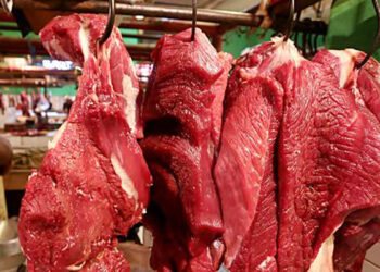Beda dengan Daging Ayam, Harga Daging Sapi Stabil