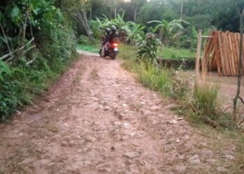 Kades Banyuresmi Bikin Kisruh, Pemerintah Kecamatan Cigudeg Layangkan Teguran