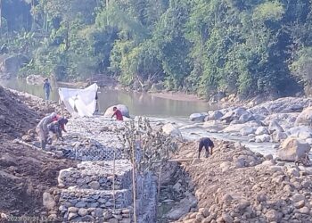 Ini Penjelasan Proyek Lahan Parkir Penangkaran Rusa Cariu yang Persoalkan