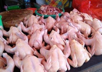 Pasokan Ayam Potong di Pasar Cileungsi Berkurang