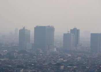 Stunting Anak Bisa Juga Akibat Polusi Udara