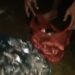 Limbah Cemari Lagi Sungai Cileungsi, Ikan Mati Mendadak