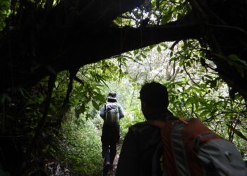 Lakukan Aktivitas Kreatif Agar Happy