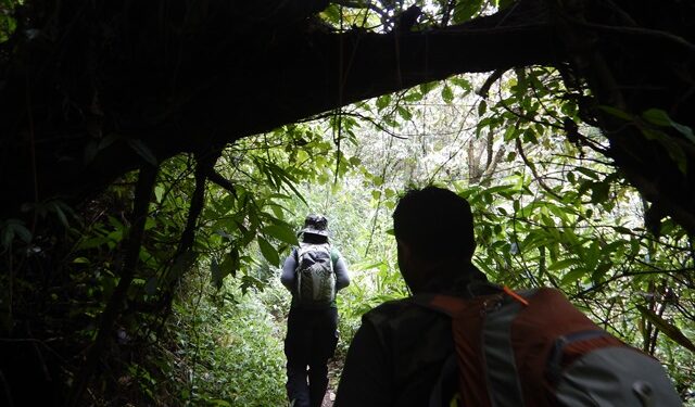 Lakukan Aktivitas Kreatif Agar Happy