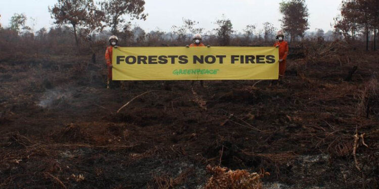 Greenpeace: Belum Merdeka dari Kebakaran Hutan