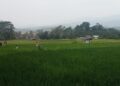 Ratusan Warga Dua Desa di Nanggung Desak BPN Batalkan Tanah Warga Terploting Ex PT Sadeng Jambu
