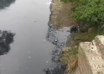 Kondisi Sungai Cileungsi Makin Parah, Menghitam, Bau dan Banyak Ikan Mati