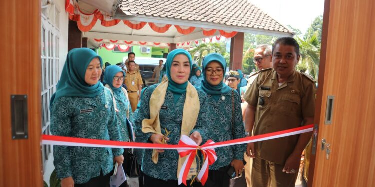 Ruang Kerja TP PKK Desa Wanaherang Diapresiasi Halimatussadiyah