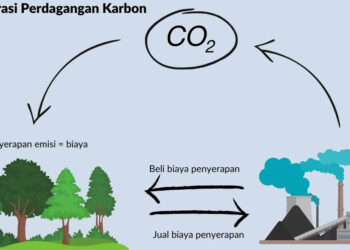 Ribuan Triliun Bisa jadi Potensi Ekonomi dari Perdagangan Karbon