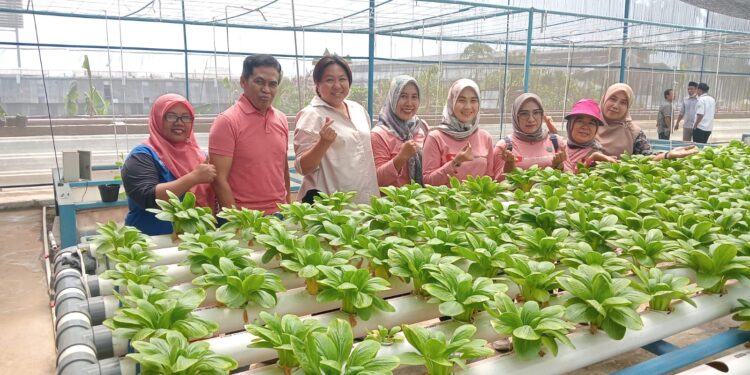 Program Tanam Bareng Warga Diperkenalkan PT Kahaptex ke Ibu-ibu PKK