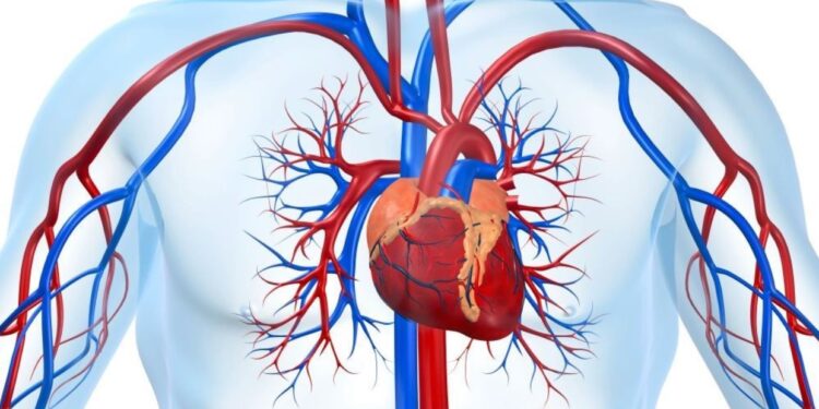 Hindari Kebiasaan yang Berisiko Sumbat Pembuluh Darah