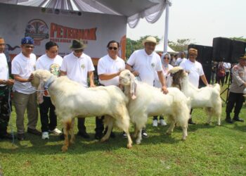 Teten Masduki Hadiri Festival Ternak Domba di Pemkab Bogor, Ini Pesan dan Kesannya