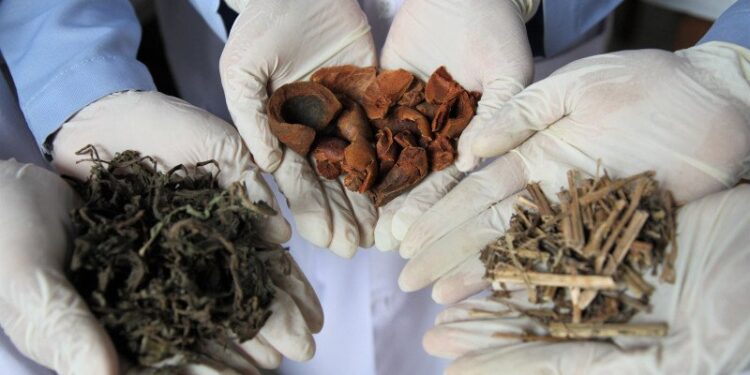 Fitofarmaka Didorong Diresepkan ke Jaminan Kesehatan Nasional