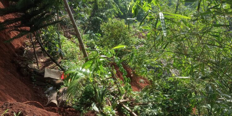 Kades Tlajung Udik Bingung Ambil Tindakan Longsornya Tebing TPU Kali Kecil