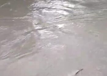 Sungai Cikarang Tercemar Limbah Perusahaan, Warga Lulut Resah