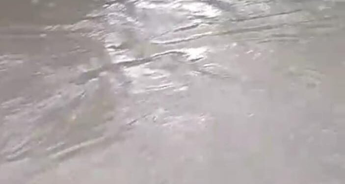 Sungai Cikarang Tercemar Limbah Perusahaan, Warga Lulut Resah