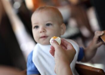 Anak Stunting Kurang Asupan Protein Hewani