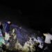 Material Batu Menutupi Jalan Akibat Bencana Tanah Longsor di Sukamakmur