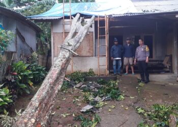 Cuaca Ekstream, Rumah Herman Tertimpa Pohon