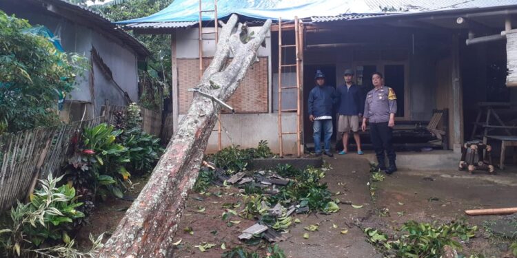 Cuaca Ekstream, Rumah Herman Tertimpa Pohon