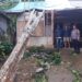 Cuaca Ekstream, Rumah Herman Tertimpa Pohon
