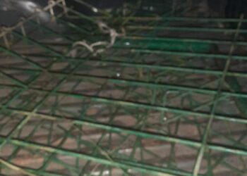 Curi Pagar di Tempat Wisata, Pelaku Diringkus Warga