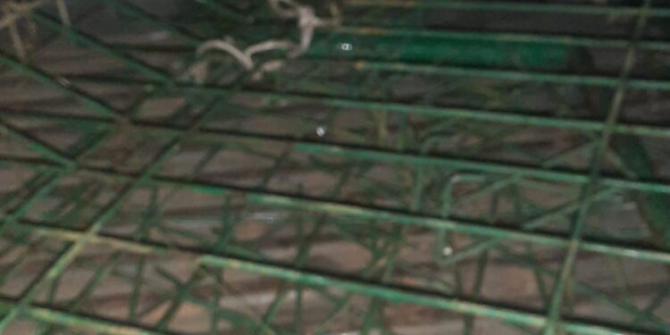 Curi Pagar di Tempat Wisata, Pelaku Diringkus Warga