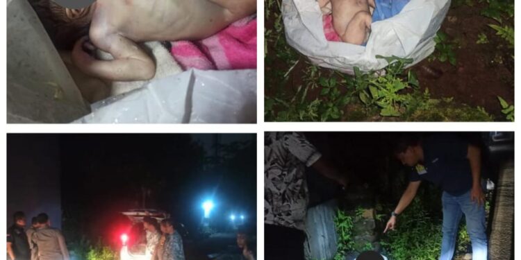 Warga Temukan Mayat Bayi di Pinggir Tembok Cluster Gardenia, Kapolsek Cileungsi: Sedang Kami Investigasi