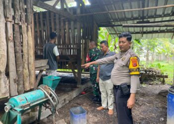 Maling Gondol 11 Ekor Kambing Milik Hamid