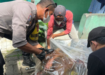 Menderita Stroke KL, Kuswara Ditemukan Meninggal Dunia