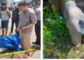 Sambangi Rumah Adik Untuk Pinjam Uang Beli Obat Jantung, Mastara Ditemukan Tewas di Gerbang Perum GNI