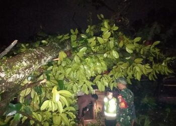 Angin Puting Beliung Porak Porandakan Kp.Cikoneng Desa Sukamakmur