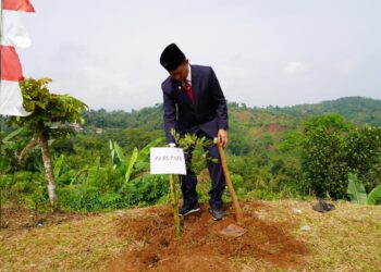 Asmawa Tosepu Tebar 2000 Bibit Pohon Buah di Sukajaya