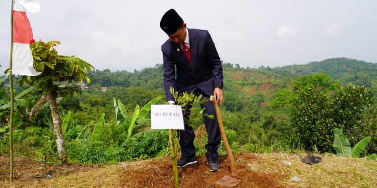 Asmawa Tosepu Tebar 2000 Bibit Pohon Buah di Sukajaya