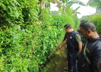 Warga Temukan Mayat Bayi di Gorong-gorong