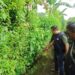 Warga Temukan Mayat Bayi di Gorong-gorong