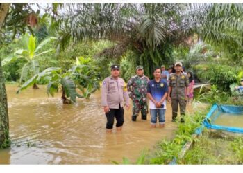 Kali Sikabayan Meluap, Lebih dari 1000 Tambak Terdampak